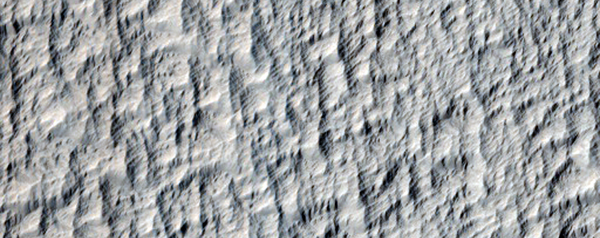 Radial Ridge in Deposit Near Pavonis Mons