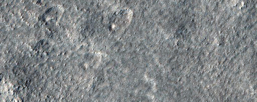 Sample Surface Texture in Northern Plains