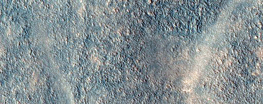Large Scale Polygonal Fissures
