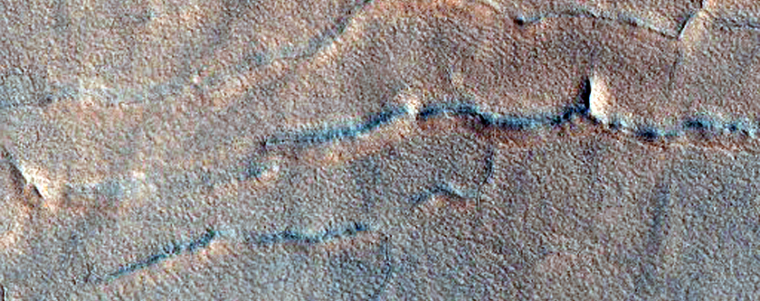 Indcios de fludo e gelo em Acidalia Planitia