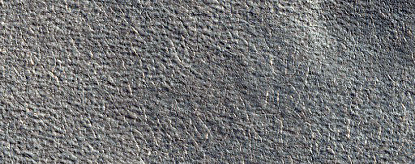 Possible Phoenix Lander Landing Site