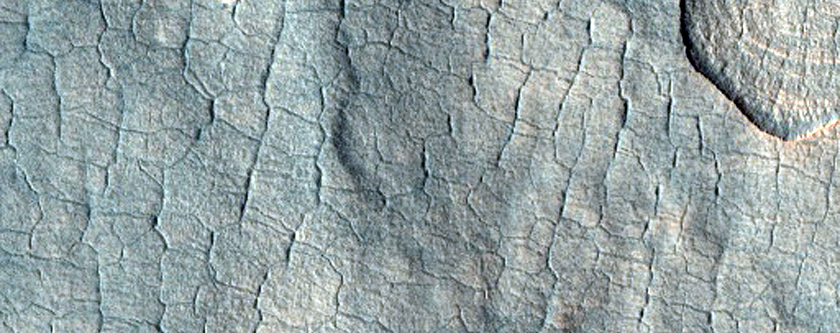 Scallop and Polygonal Features in Utopia Planitia