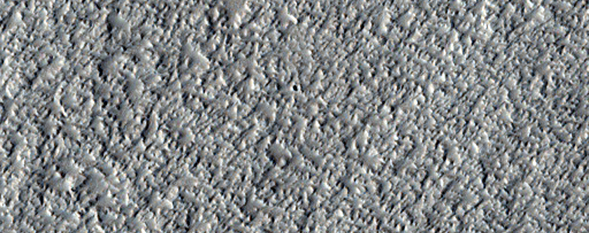 Dust Devil Survey Image in Northern Amazonis Planitia