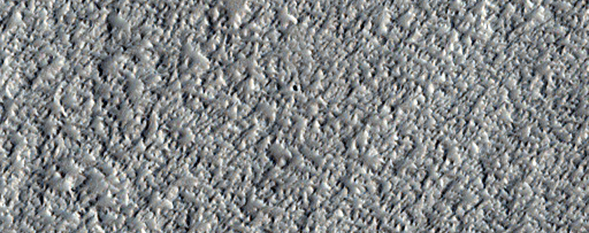 Dust Devil Survey Image in Northern Amazonis Planitia