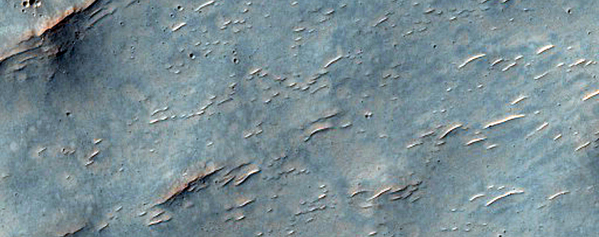 Eastern Terra Cimmeria