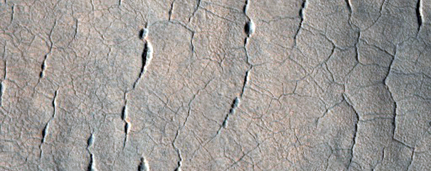 Buche, crepacci e poligoni in Utopia Planitia occidentale 