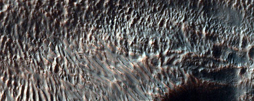 Gullies in Dark Layers in Crater Wall