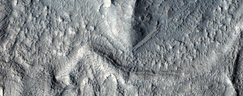 Crater with Gullies, Debris Mantle and Layers Exposed in Eastern Wall