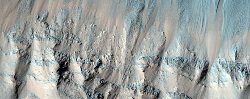 Crater and Gullies in Newton Basin 
