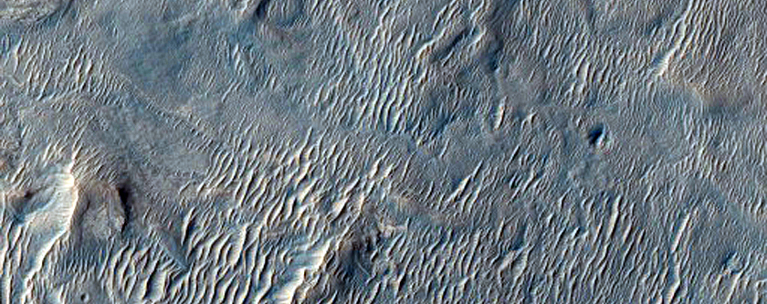 Putative Phyllosilicate Deposit in Crater in East Meridiani Region 