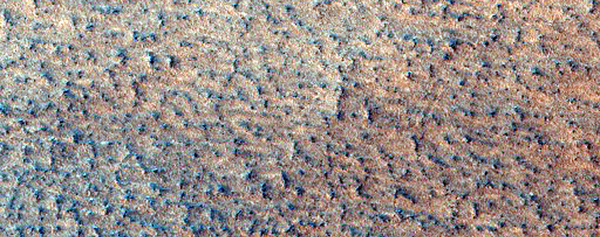 Possible Phoenix Lander Landing Site
