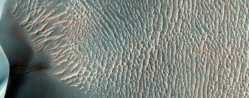 Un campo de dunas en el interior del Cráter Proctor