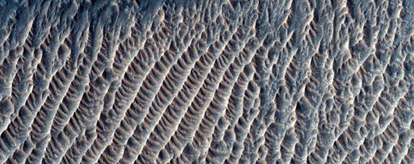 Proposed MSL Site in Melas Chasma