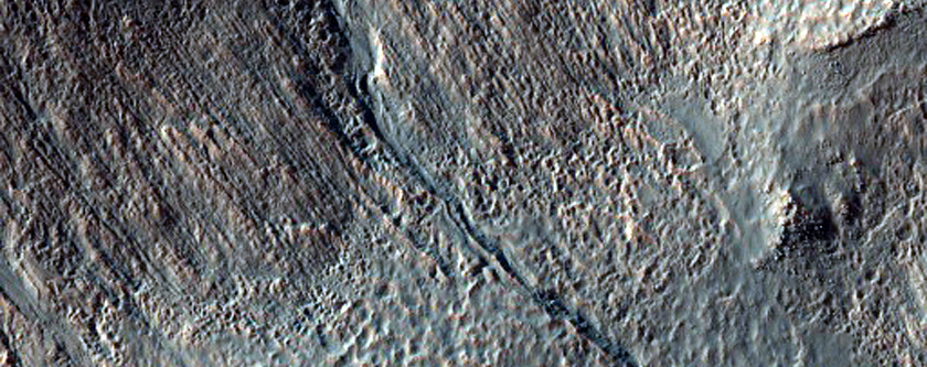 Gullies and Craters on the Floor of Newton Basin