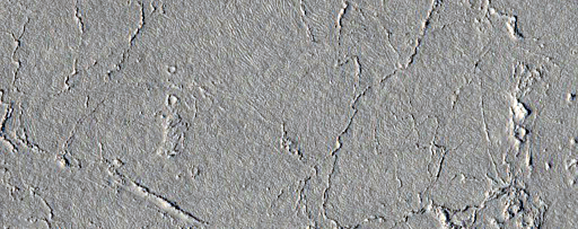Ring and Cone Structures atop Rafted Plates in Athabasca Valles 