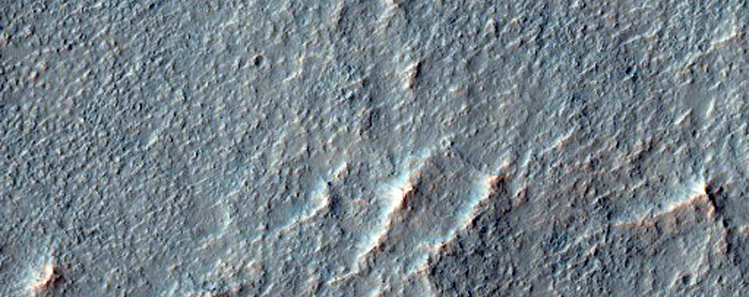Deposits in Flat-Floored Peta Crater 