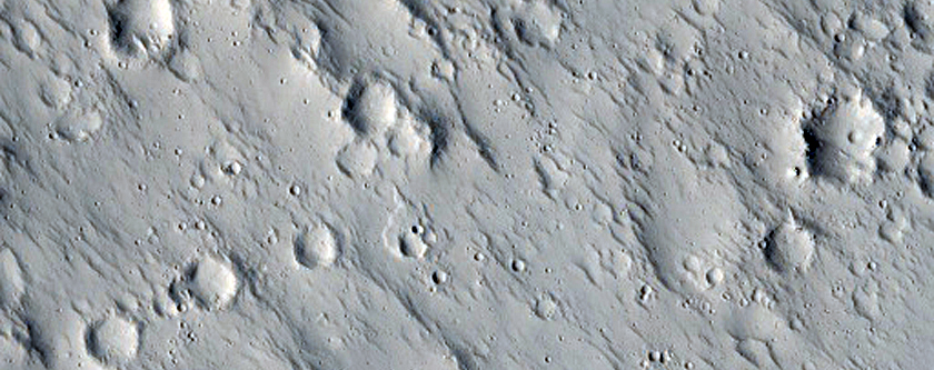 Dark Spot 