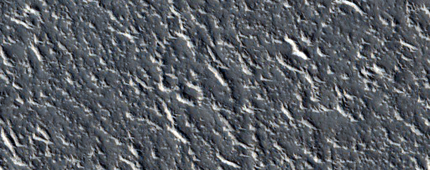 Duricrust 