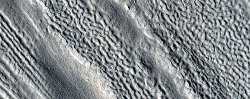 Lineated Valley Fill in Coloe Fossae 