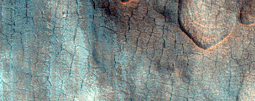 Utopia Planitia: Scallop and Polygona Featuress