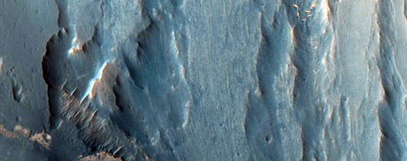 Putative Sulfates in Tithonium Chasma