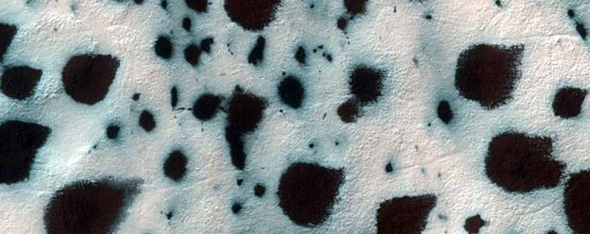 Starfish-Shaped Spots 
