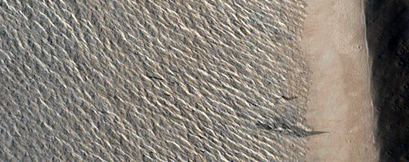 Slope Streak South of Olympus Mons