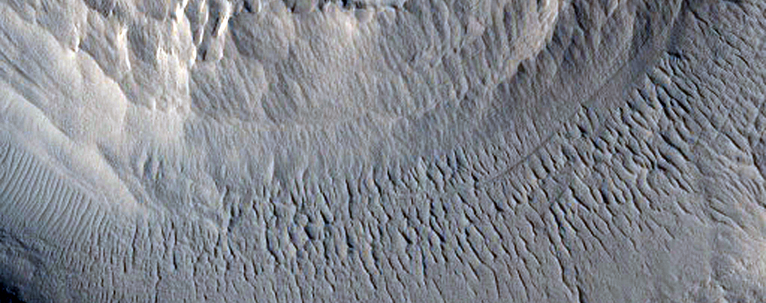 Bullseye Crater in Elysium Planitia