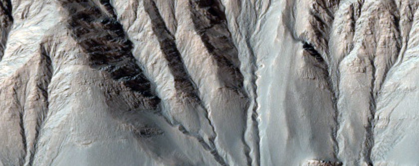 Gullies and Dunes in a Crater in Newton Basin