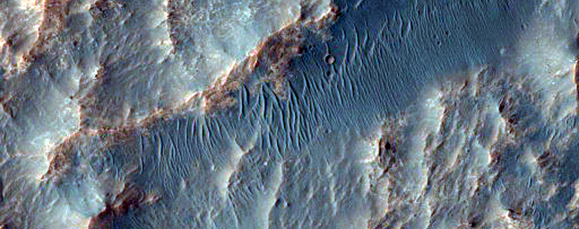 Uzboi Vallis Basin