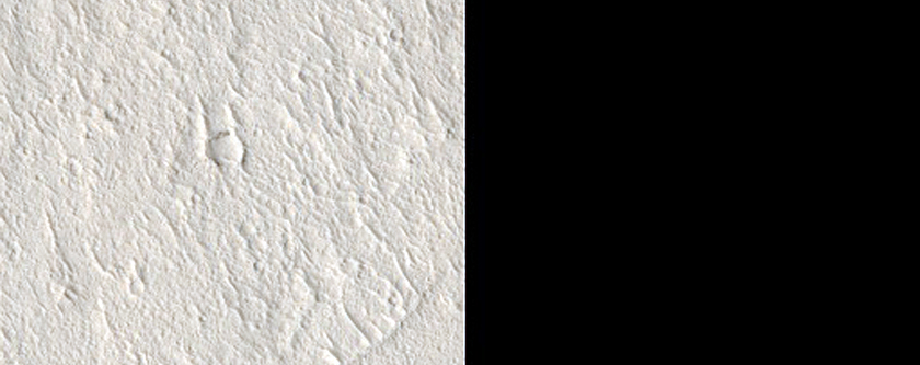 Fissures and Flows in Elysium Planitia
