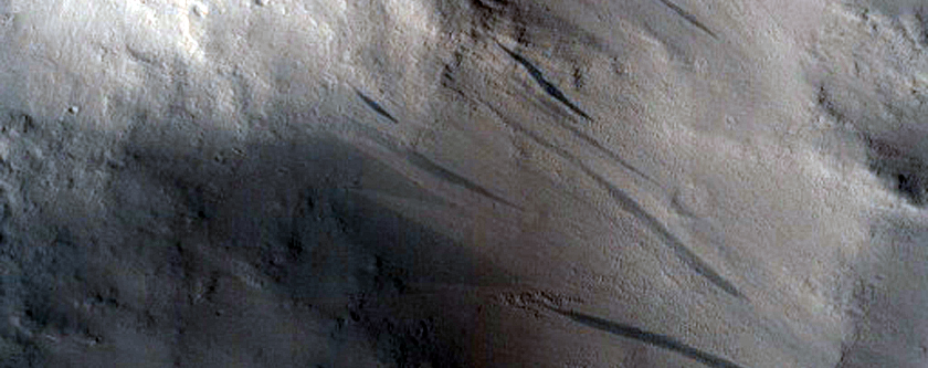 Slope Streaks in Marte Vallis