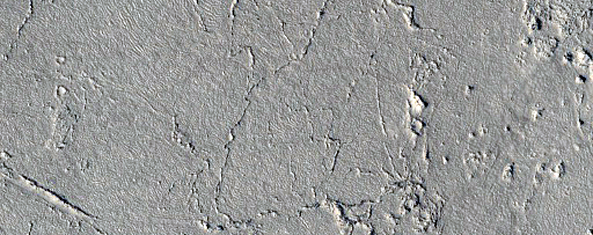 Ring and Cone Structures atop Rafted Plates in Athabasca Valles