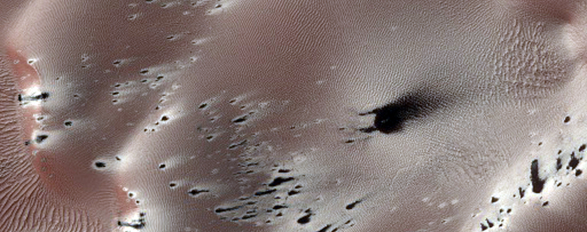 HiRISE at One Year: Student Image of the Week-Seasonal Changes of South Polar Dark Dune Field