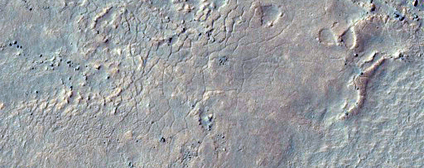 Gullies in Mid-Ltitude Crater
