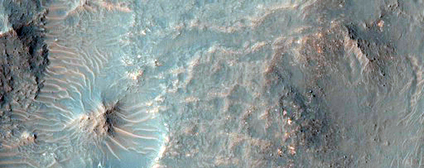 Gullies in South Mid-Latitude Crater