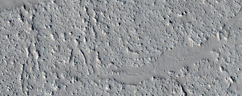 Ring and Cone Structures and Platy-Ridged Terrain in Amazonis Planitia