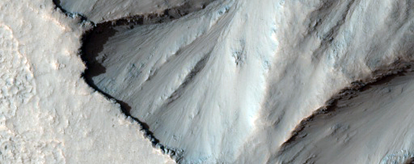 Looking For Gullies