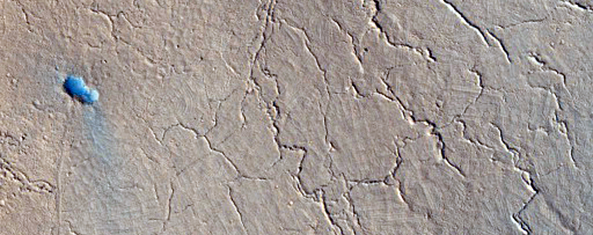 Wrinkle Ridge in Elysium Planitia