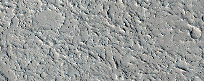 New Dark Spot and Impact Site