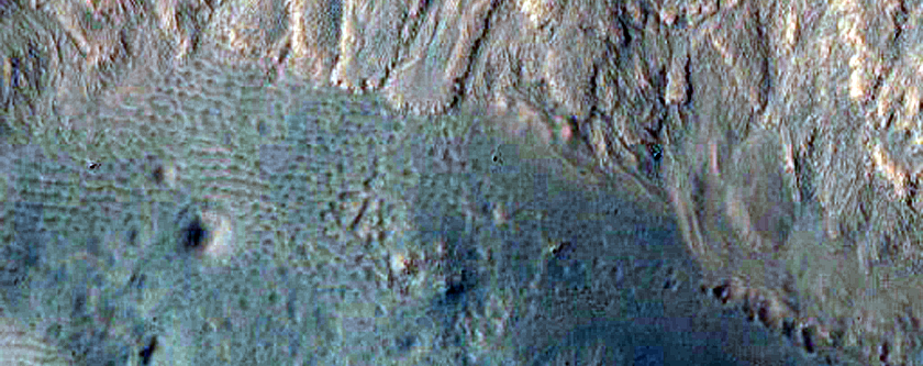 Potential Currently-Active Gullies in Fresh Crater