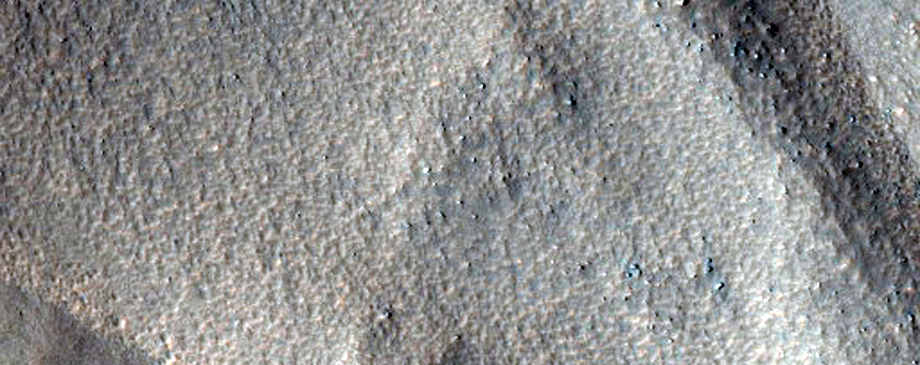 Looking For Gullies