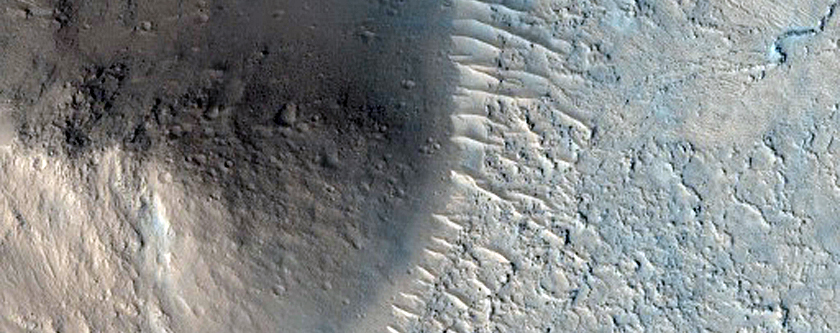 Contact in Northern Elysium Planitia