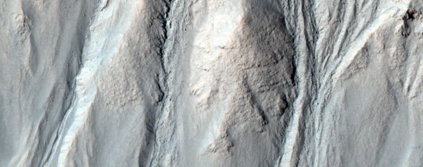 Crater with Gullies Seen in CTX Image