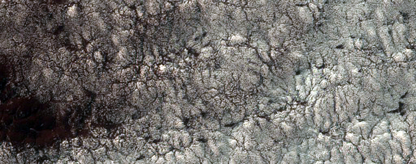 Finger Lake