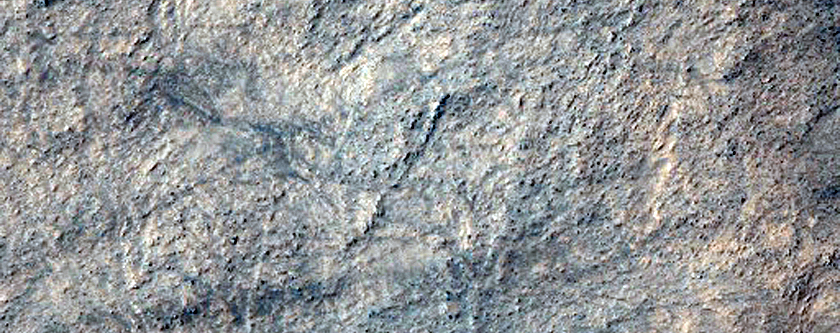 Looking For Gullies