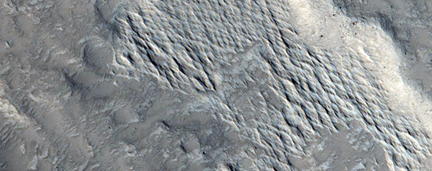 Limit of Lava Flows in Daedalia Planum