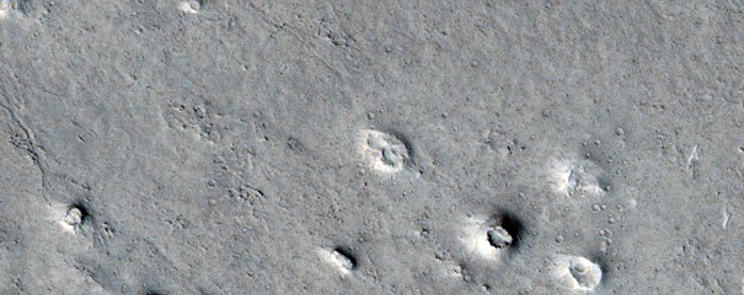 Ring and Cone Structures in Elysium Planitia North of Aeolis Planum