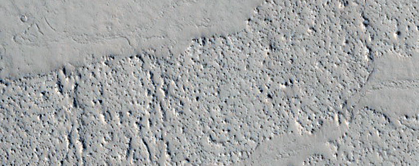 Ring and Cone Structures and Platy-Ridged Terrain in Amazonis Planitia