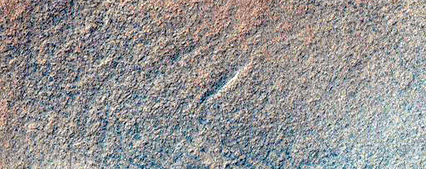 Cover Gullies Previously Identified in MOC Image M04-02569